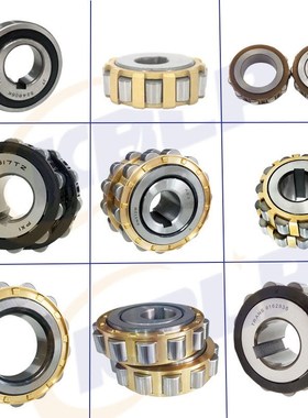 减速机偏心轴承 TRANS 6110608 6142125 61659 6162935 6111115