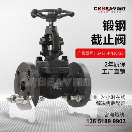 A105锻钢法兰闸阀截止阀Z/J41H-16-100C导热油蒸汽高温高压阀国标
