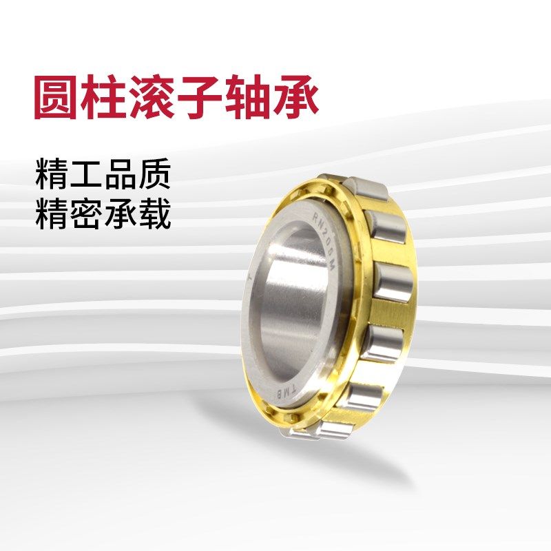 无外圈圆柱滚子轴承RN305M 306 307 308 309 310 311 312 313EM