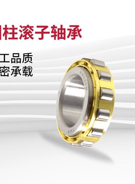 无外圈圆柱滚子轴承RN305M 306 307 308 309 310 311 312 313EM
