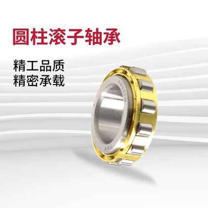 无外圈圆柱滚子轴承RN305M 306 307 308 309 310 311 312 313EM