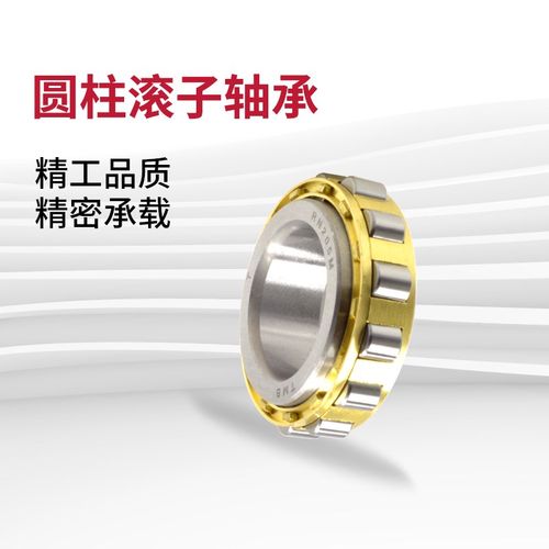 无外圈圆柱滚子轴承RN305M 306 307 308 309 310 311 312 313EM