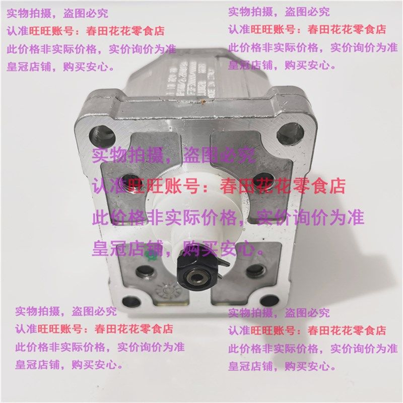 Danfoss丹佛斯齿轮泵111.10.024.00 SNP1NN2,2RN01BA P1F3F3NNNN