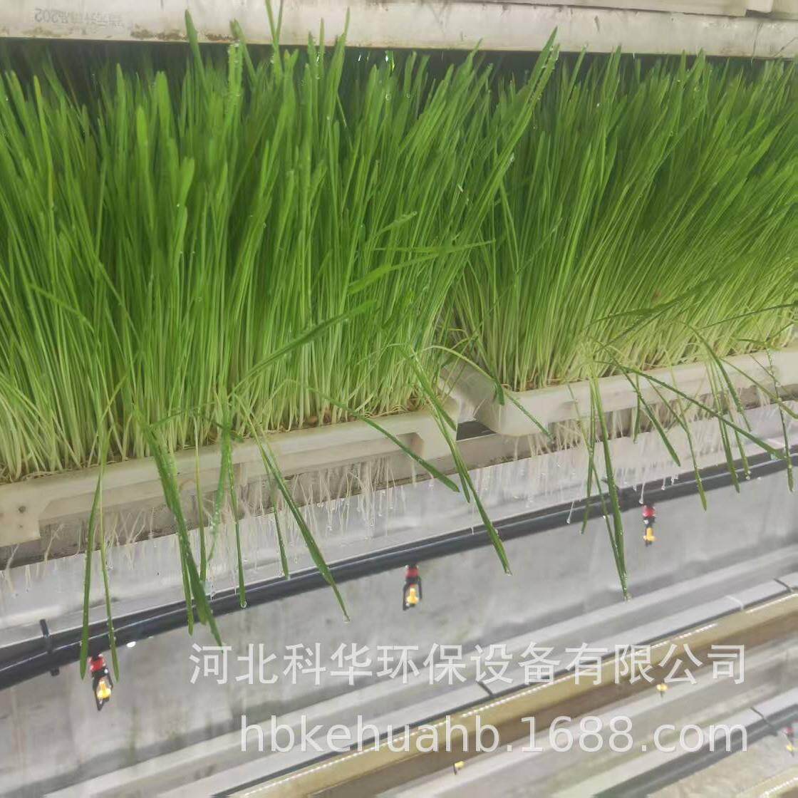 植物工厂水培牧草集装箱无土立体种植7天速成节地90%降养殖成本