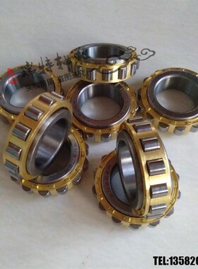 减速机偏心轴承 RN211 RN212 RN213 RN214 RN215 RN216 RN217