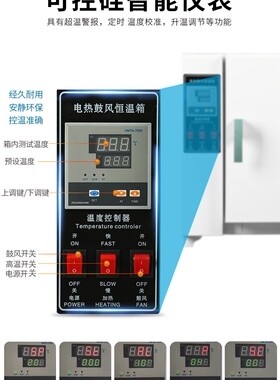 电热恒温鼓风干燥箱实验室小型烘箱食品烘干机工业高温烤箱烘干箱
