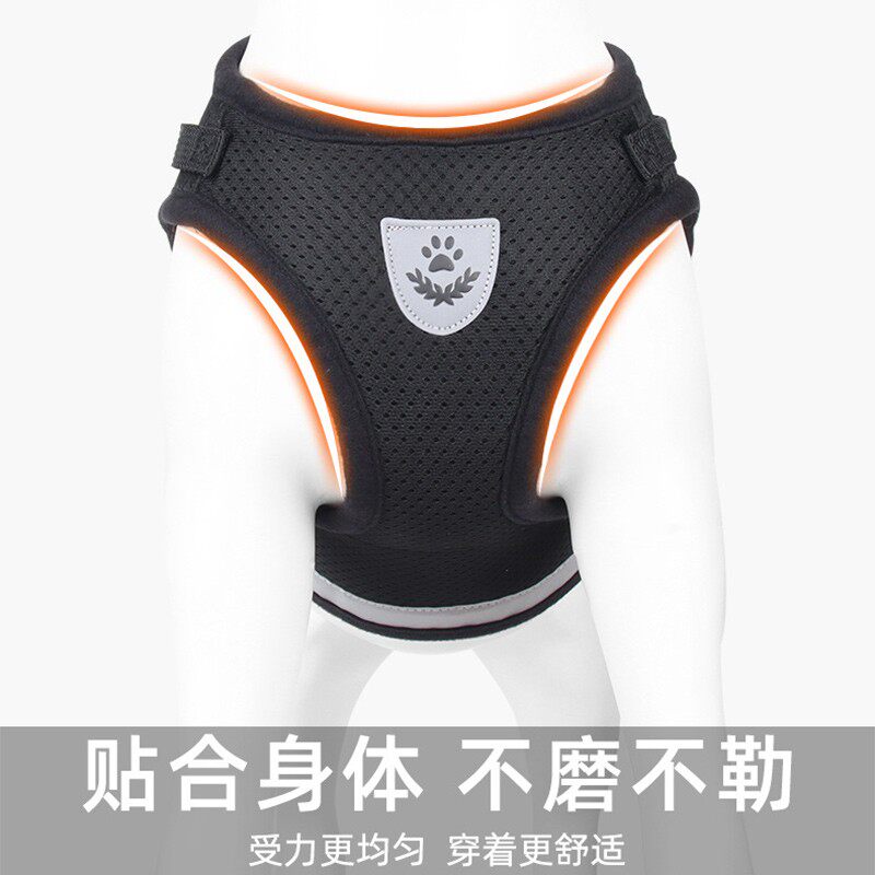 缅因猫专用牵引绳帅气幼猫外出防挣脱溜猫绳子小猫咪背心式胸抱婴
