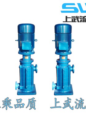 DLR型热水多级离心泵 DLR型多级热水泵 DLR型热水泵