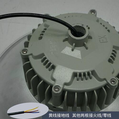 LED防爆灯 防水雨伞罩天棚灯 工厂房聚光灯P光源灯罩 防爆工矿灯