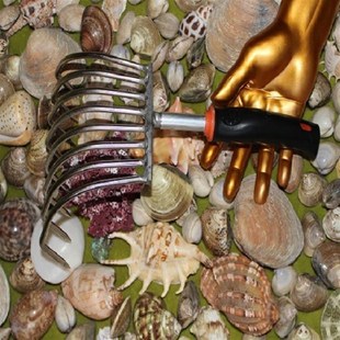 不锈钢耙子6爪 8爪弧p形耙子 蛤蜊耙子 花蛤耙子 嘎啦耙 挖蚬子用