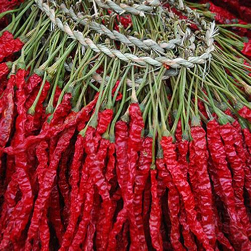 2025贵州独山干辣椒农家红辣椒新货老品种特香辣二荆条本地好辣子