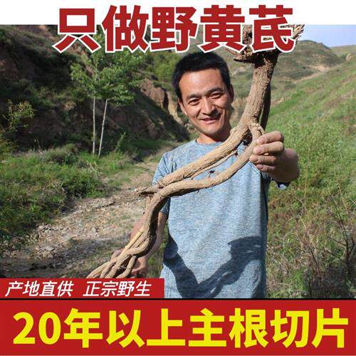 甘肃岷县特级纯野生黄芪500g正品黄芪片中药材北芪特级无硫党参