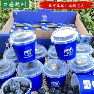 小懒杯蓝莓鲜果12杯共720克礼盒装 大甜云南蓝莓孕妇水果顺丰