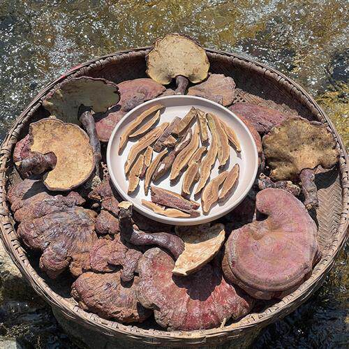 晚桔 野生赤灵芝 来自大别山区 整支与切片可选 非灵芝孢子粉