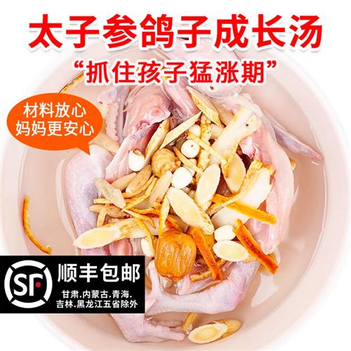 炖鸽子汤材料包宝宝脾胃汤包煲鸡汤调理太子参麦冬儿童煲汤药材包