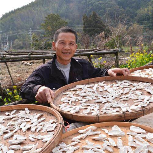农家新晒野生山药干片500g无硫深山淮山药片怀山药干非铁棍山药片