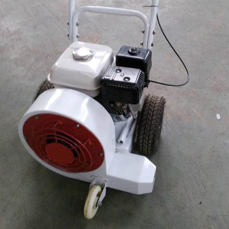 道路施工用手推式路面吹风机公路大风量秋冬季落叶吹风,五金/工具,筑路机械,淘宝优惠券,粉丝福利购,淘宝优惠卷