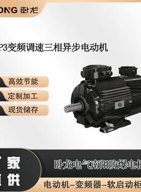 WEBP3变频调速三相异步电动机防爆步进电机厂家防爆伺服电机