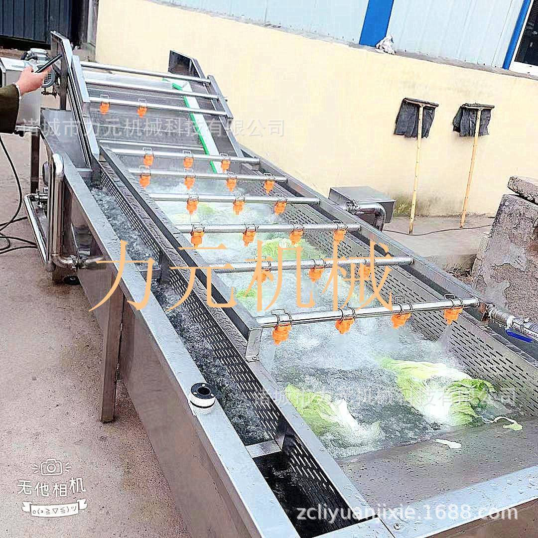 车厘子气泡洗果机不锈钢高压喷淋网带清洗机草莓菜果气泡清洗机
