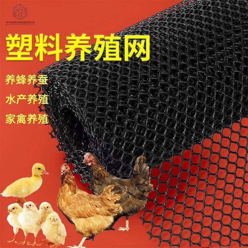 全新料牡蛎养殖网加厚家禽养殖网养鸡垫网鸡鸭鹅围栏养护网塑料网,畜牧/养殖物资,养鸡网,淘宝优惠券,粉丝福利购,淘宝优惠卷
