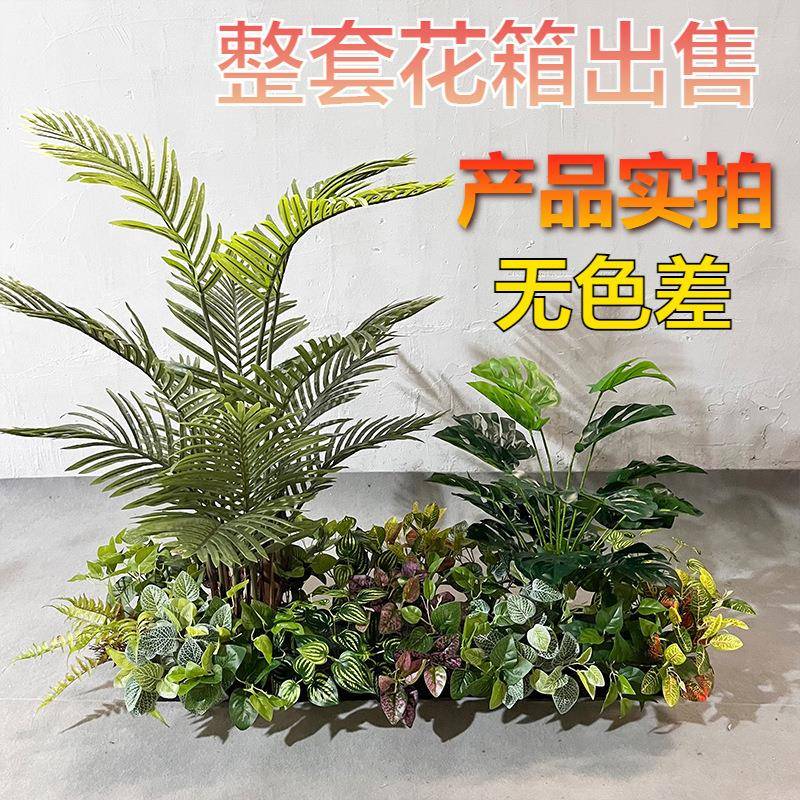 仿真绿植室内造景组合装饰品阳台餐厅橱窗布置装饰植物套餐景观花