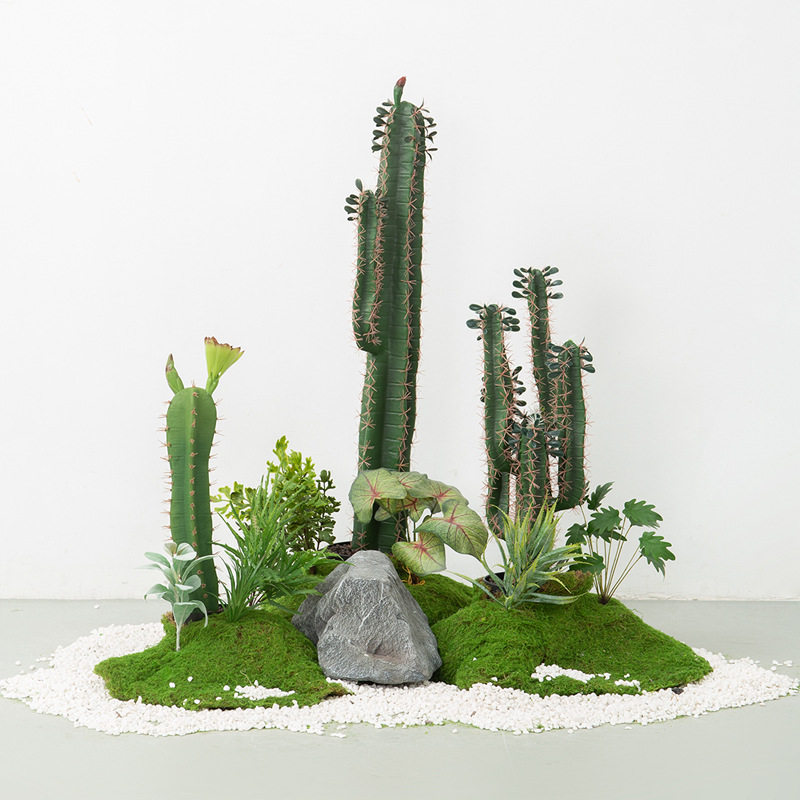 微景观造景植物仿生植被景观摆件仙人掌苔藓热带绿植物盆栽置景