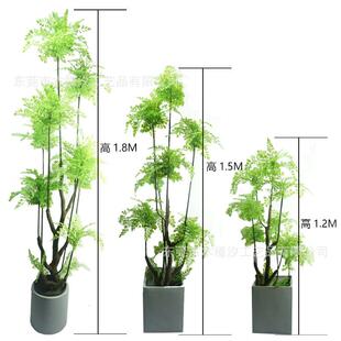 北欧仿真琴叶榕绿植盆栽室内外装饰摆设仿真黑木蕨旅人蕉盆景