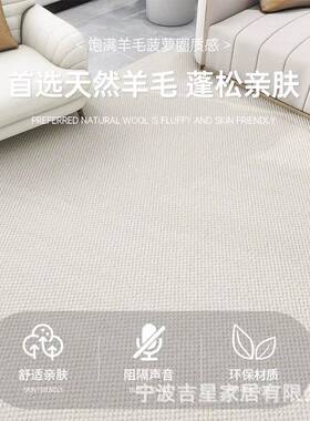 家BLQ用百搭裁剪定做卧室满铺萝厅圈毛混羊纺地毯客茶几纯色地菠