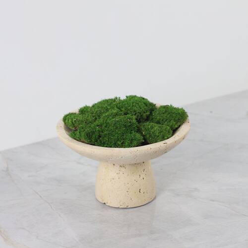 天然洞石仿真绿植花盆摆件酒店售楼处洽谈桌客厅茶几桌面软装饰品