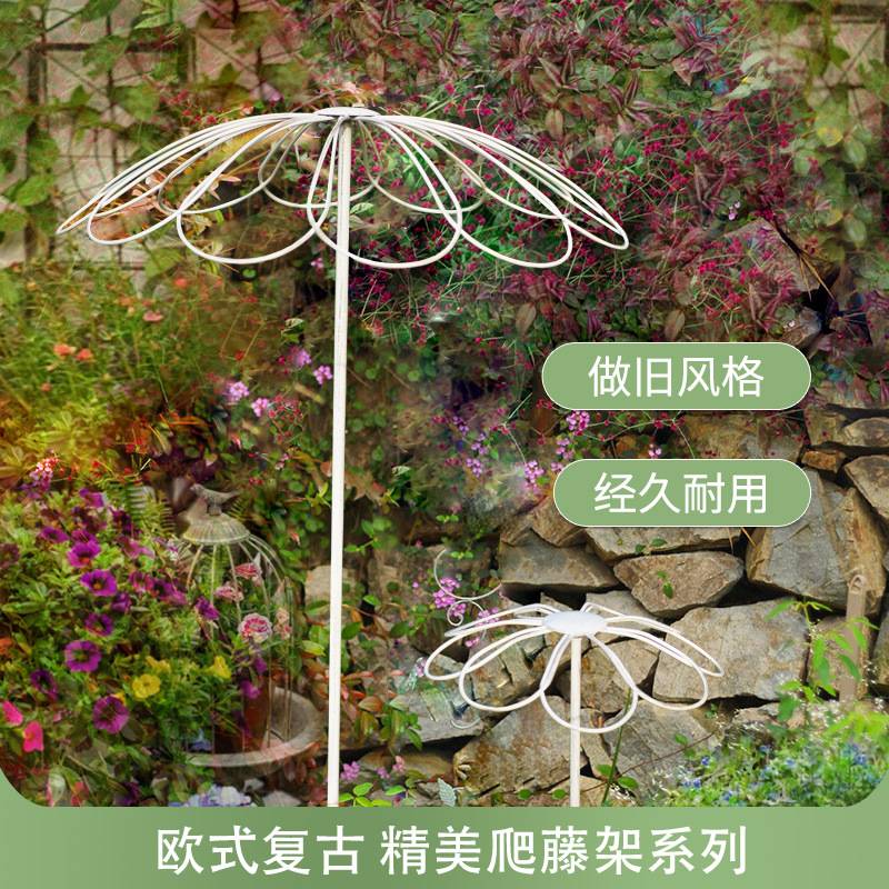 铁艺伞形攀爬花支架子户外花园庭院装饰铁线莲植物爬藤架月季插地