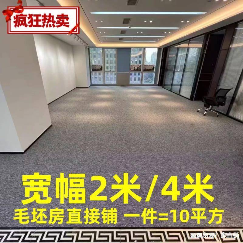 地毯商用大面积整铺满铺全铺地垫水泥地办公室面酒店直播间毛坯房