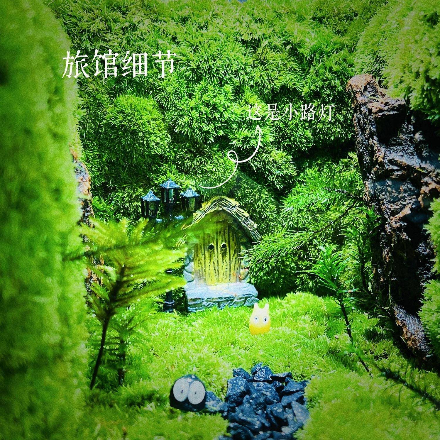 面意苔F98TT8T8藓微景观生态瓶懒人养桌护生态闷养盒创绢花向日葵