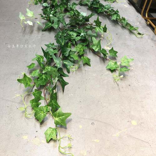 仿束真藤常春123-4079壁挂地瓜叶加把爬藤仿真绿植装饰缠绕藤蔓植