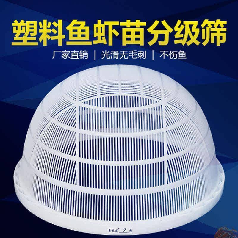 筛子鱼对塑料分类分级泥鳅朝筛寸纱大小龙虾鱼苗虾苗鱼筛子其它