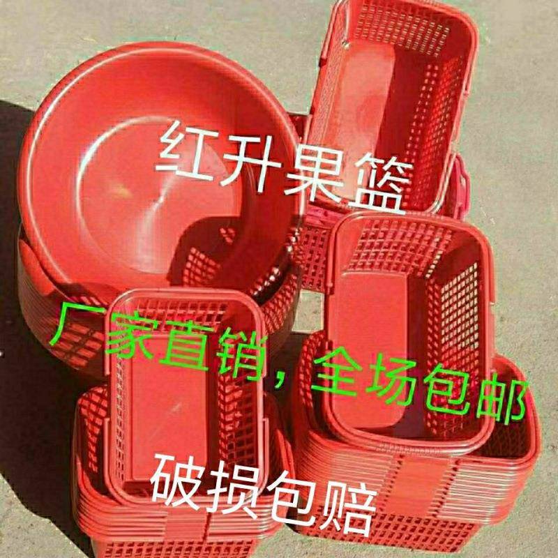 草莓杨梅葡萄篮莓篮李子篮水果采摘采摘盆带盖蓝塑料筐长方形
