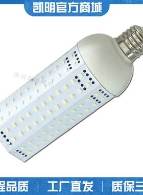 景观照明LED玉米灯 80W玉米灯 100W玉米灯 120W E40 玉米灯