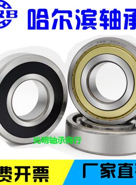 HRB哈尔滨超高速电机轴承 6012 6013 6014 6015 6016 6017-2RZ ZZ