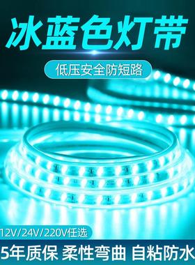 冰蓝色灯带LED灯条自粘12V24V霓虹蓝色家用220V电竞氛围户外防水