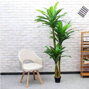 室内落地装铁饰假树大型绿盆栽热带仿真植物仿植西真巴18-YY西巴