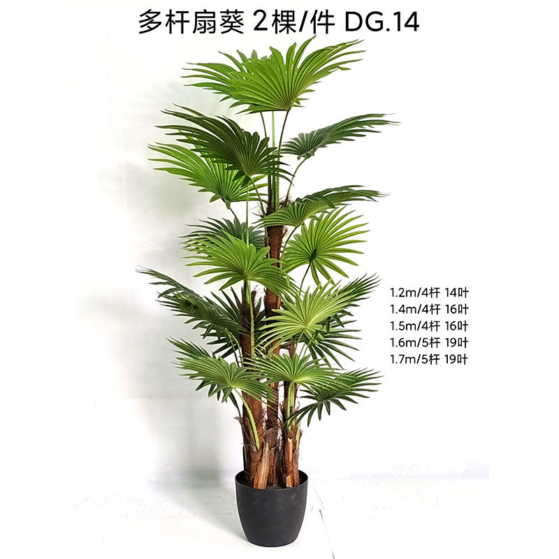 新款葵树仿真扇葵热带假树扇葵盆景室内外落地橱窗绿植装饰盆栽