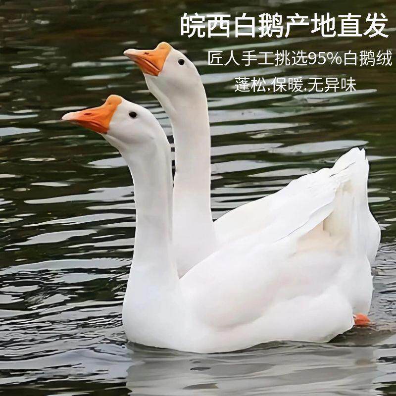 95皖西大朵白鹅绒被国标5my698白鹅绒820蓬9松家用A类加厚+羽绒被