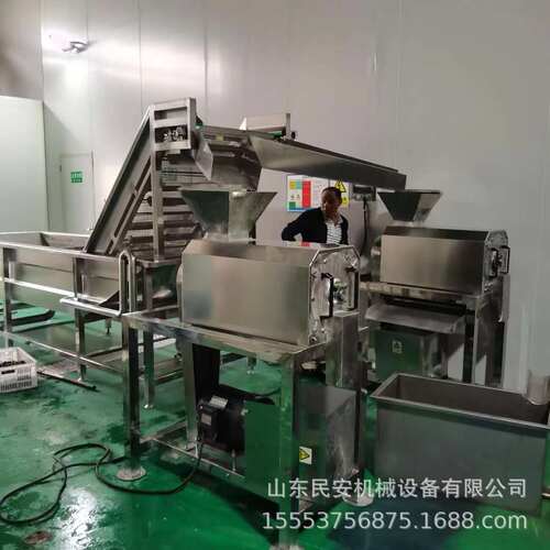 樱桃去核打浆机 工业南酸枣去核机 商用芒果橙子去皮打浆机