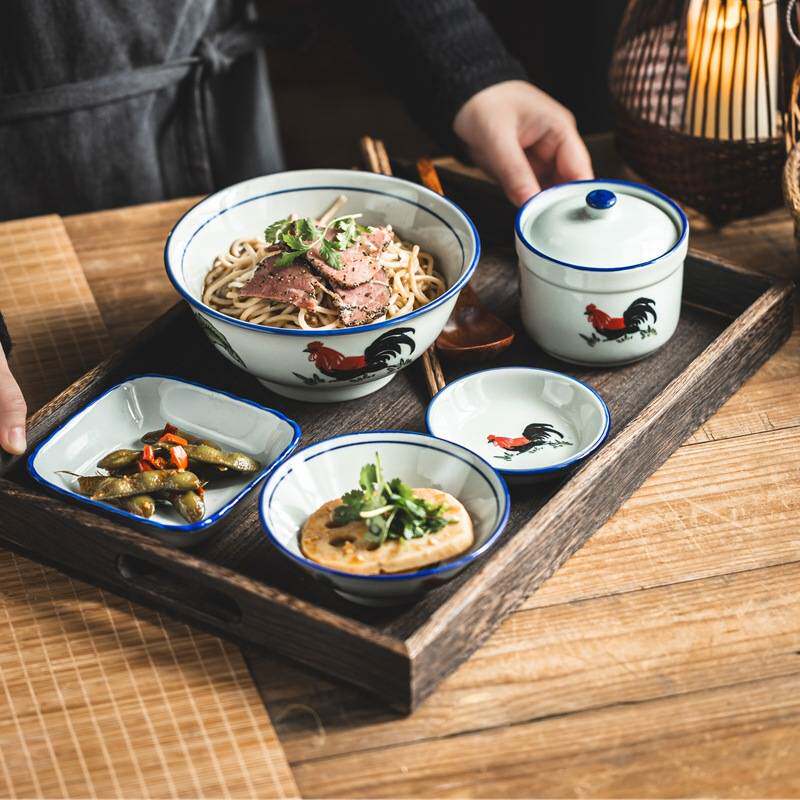 斗笠大碗面碗吃饭的碗一整套碗碟套装家用一人食餐具陶瓷漂亮碗盘