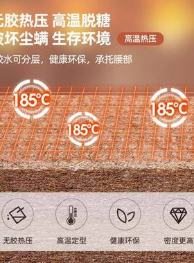 保偏硬床环垫乳胶护脊夏椰棕棕垫铺底冬VRR儿两用老人童双面棕榈