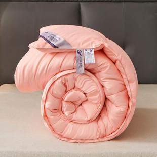 宾宿馆58585858民冬被被子羽绒被加厚保暖被芯酒店被子宿双舍人春