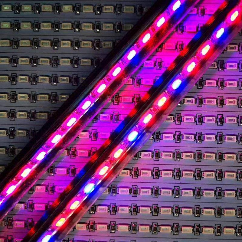 0.5W570植颗生长灯物光珠红66QLX0nm晶元芯片灯具粒照明LED贴片灯