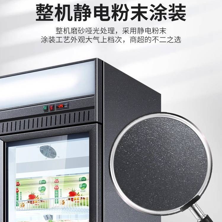 冷冻展示柜商用急冻柜商场超市冰箱冰淇淋低温柜风冷立式冰柜