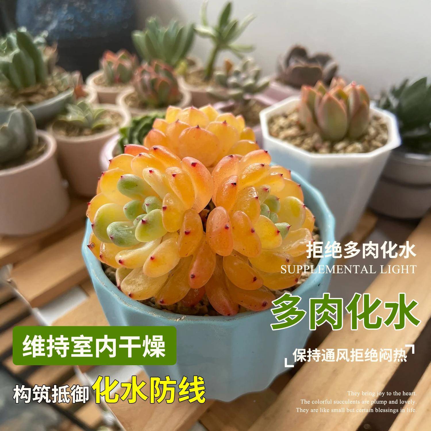 植物补光室内仿太阳光多肉花灯CZA卉生长灯色光谱促上新款全带风