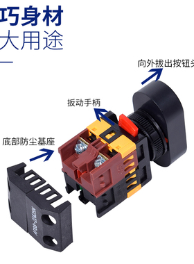 按钮APBB-22N-25N PPBB AS-22 双键双位双头带灯 复位控制开关