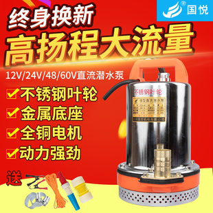 12V直流潜水泵24V48V60V伏电动车抽水机农用小型抽水泵电瓶车水泵
